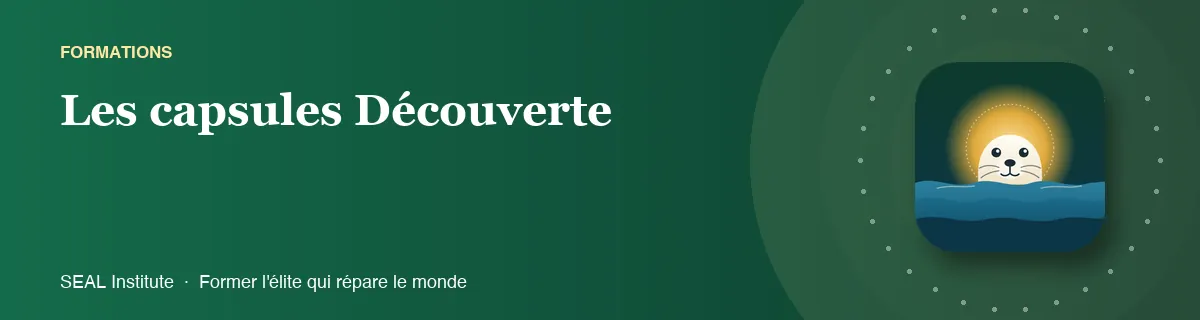 Illustration de la page « Les capsules Découverte » : le phoque sentinelle de SEAL Institute au soleil levant
