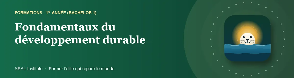 Illustration de la page « Fondamentaux du développement durable » : le phoque sentinelle de SEAL Institute au soleil levant