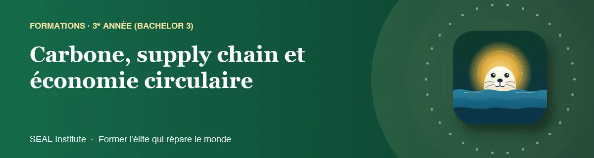 Illustration de la page « Carbone, supply chain et économie circulaire » : le phoque sentinelle de SEAL Institute au soleil levant