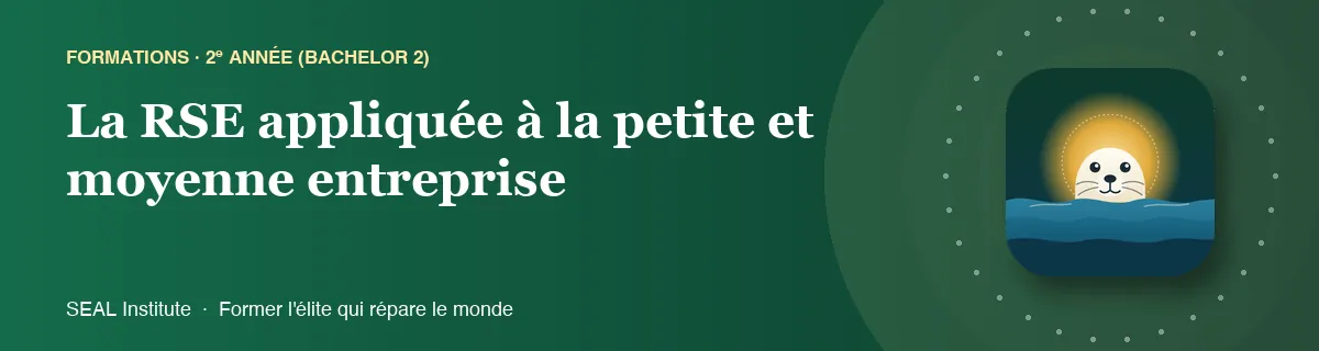 Illustration de la page « La RSE appliquée à la petite et moyenne entreprise » : le phoque sentinelle de SEAL Institute au soleil levant