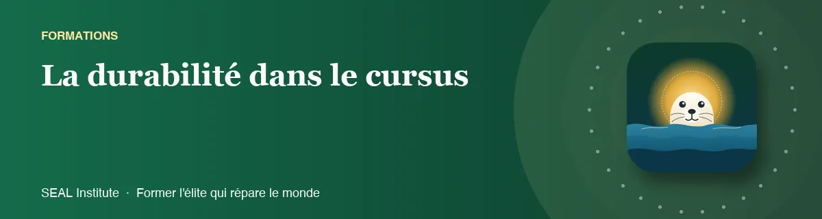 Illustration de la page « La durabilité dans le cursus » : le phoque sentinelle de SEAL Institute au soleil levant