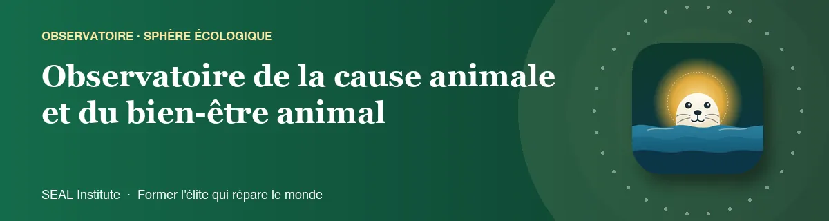 Illustration de la page « Observatoire de la cause animale et du bien-être animal » : le phoque sentinelle de SEAL Institute au soleil levant