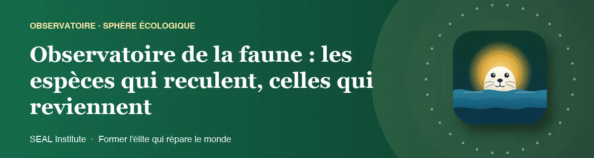 Illustration de la page « Observatoire de la faune : les espèces qui reculent, celles qui reviennent » : le phoque sentinelle de SEAL Institute au soleil levant